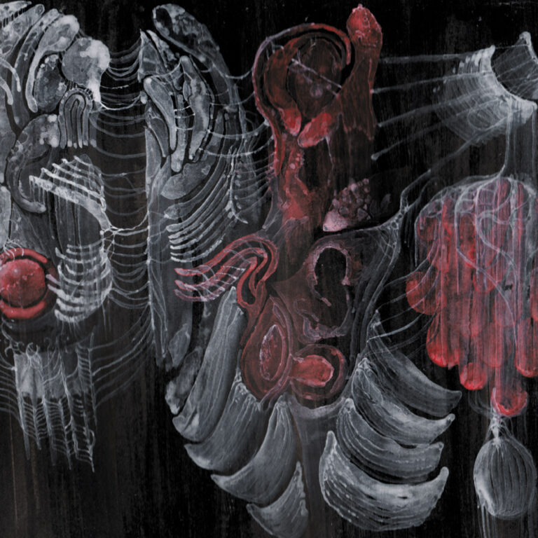 Strigiform – Aconite Review