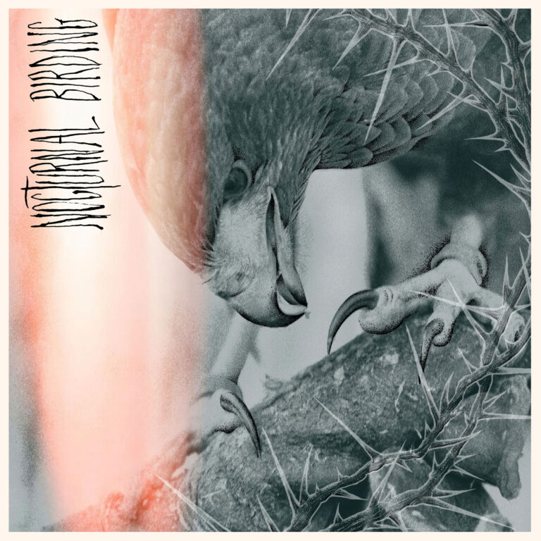 Author & Punisher – Nocturnal Birding Review