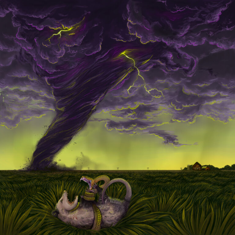 Flummox – Southern Progress Review