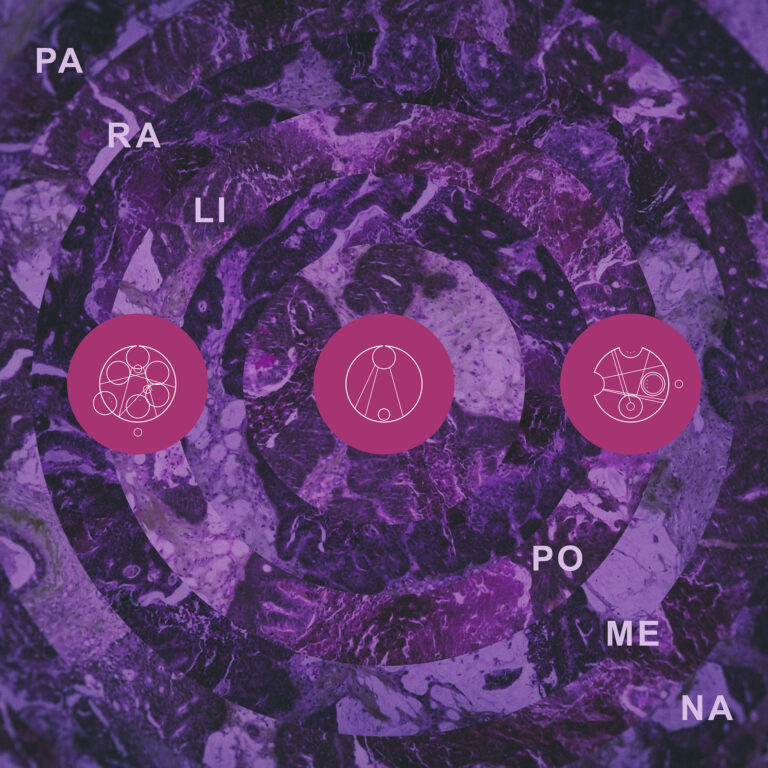 Pillars of Cacophony – Paralipomena [Things You Might Have Missed 2025]