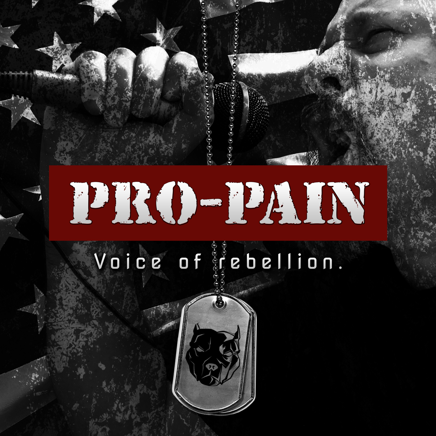 Pro-Pain – Voice of Rebellion Review
