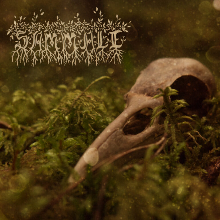 Sammale – Sammale Review