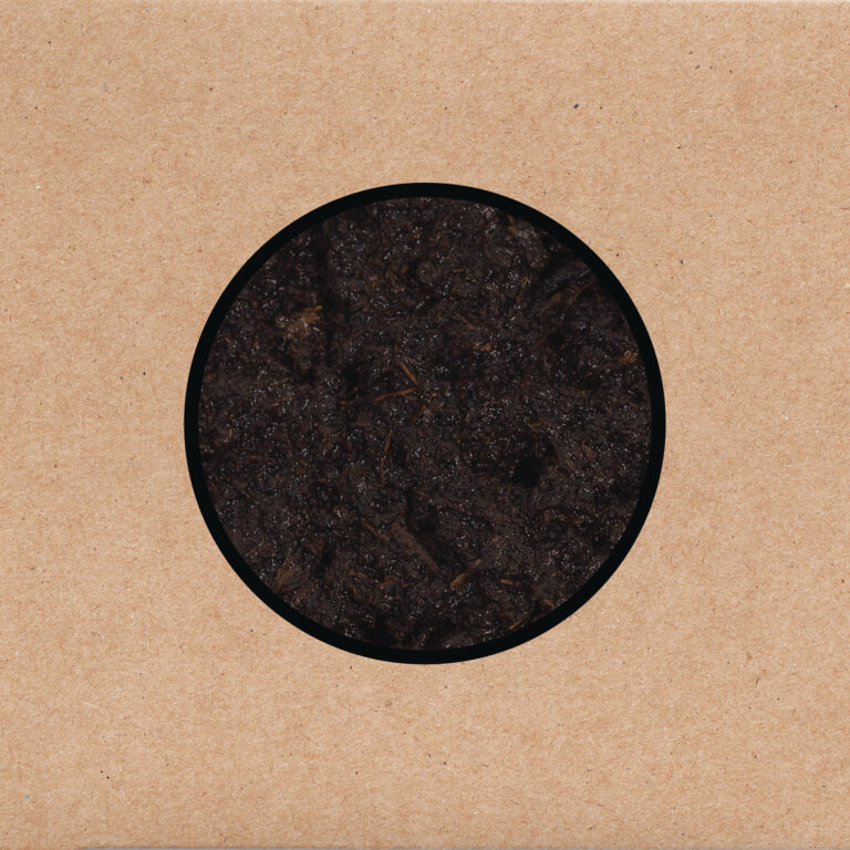 Swans – Birthing Review