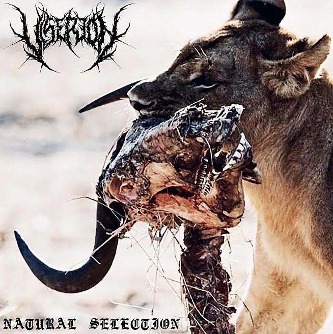 Viserion – Natural Selection Review