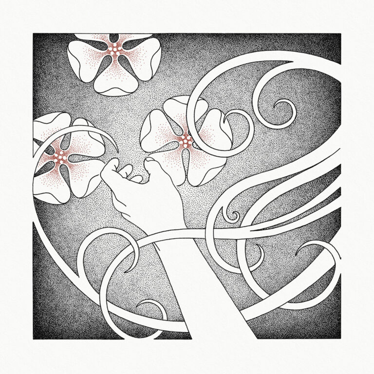 Whispering Void – At the Sound of the Heart Review